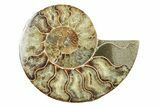 Cut & Polished, Agatized Ammonite Fossil - Madagascar #240988-2